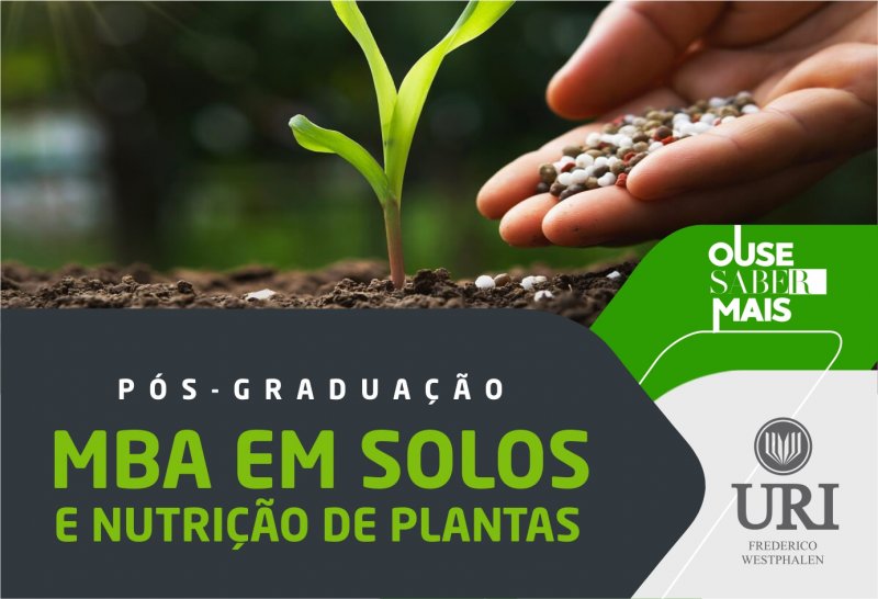 Imagem Notícia