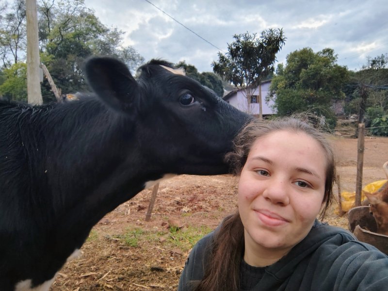 Imagem Notícia