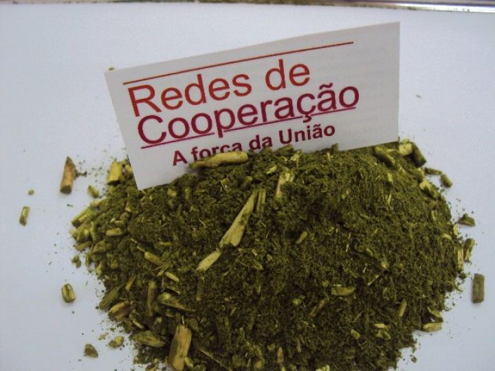 Imagem Notícia