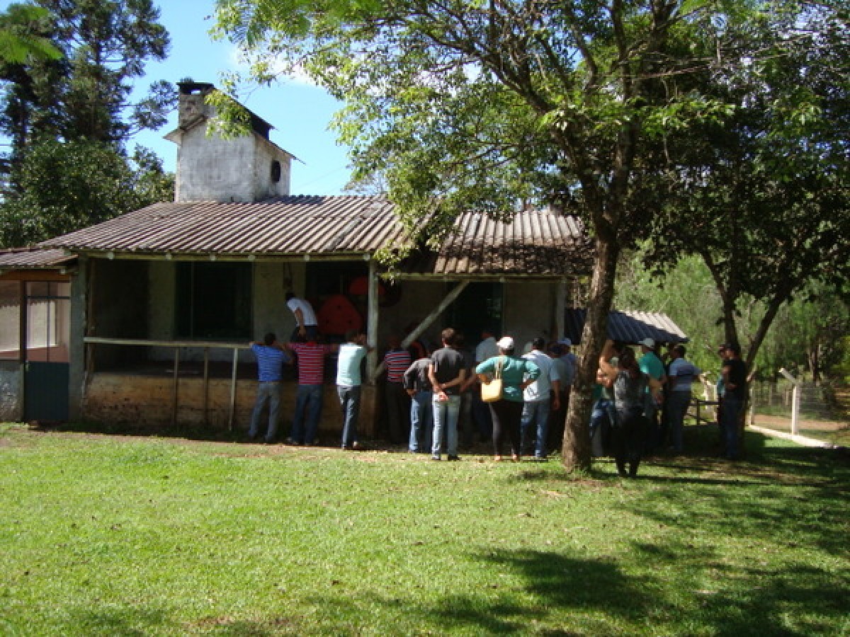 Imagem Notícia