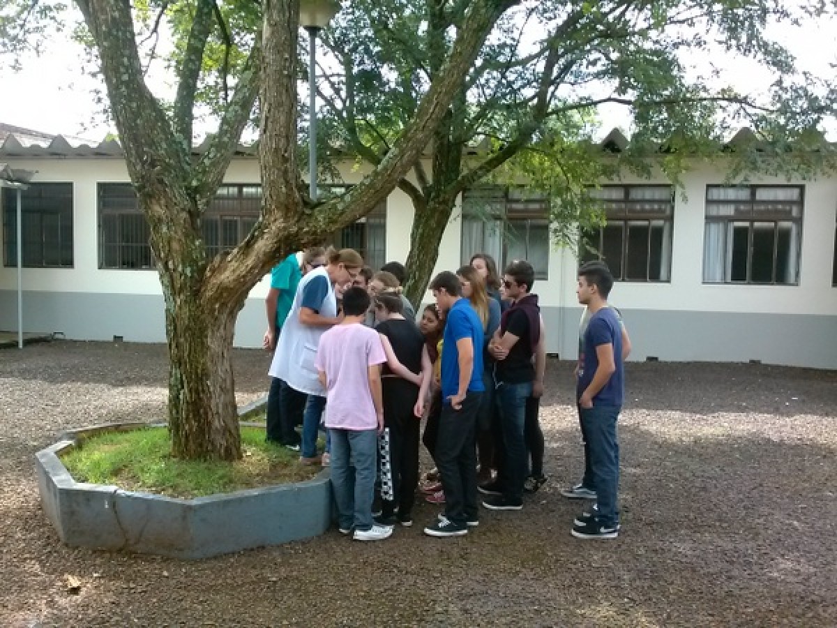 Imagem Notícia