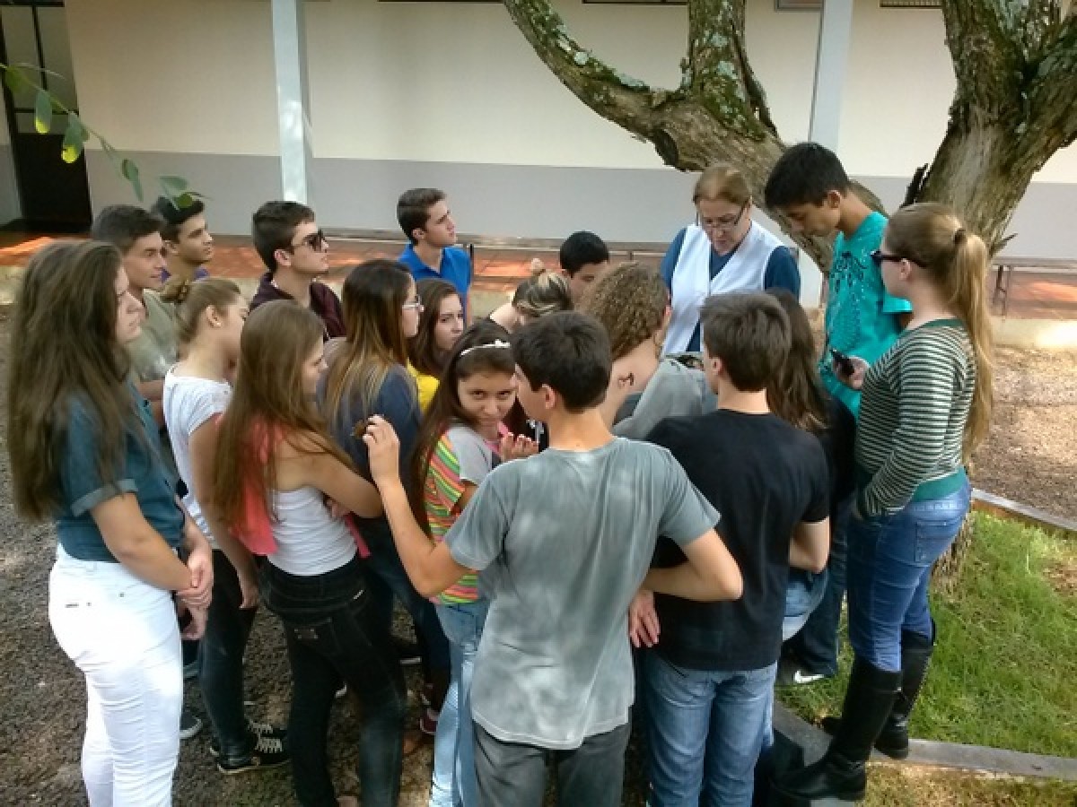 Imagem da galeria