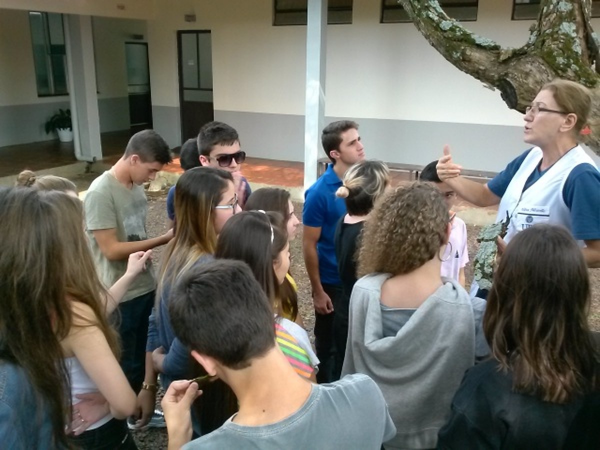 Imagem da galeria