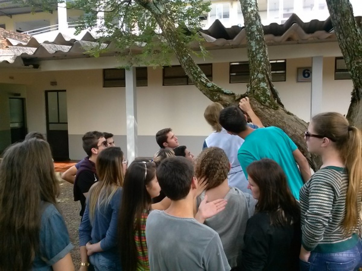 Imagem da galeria