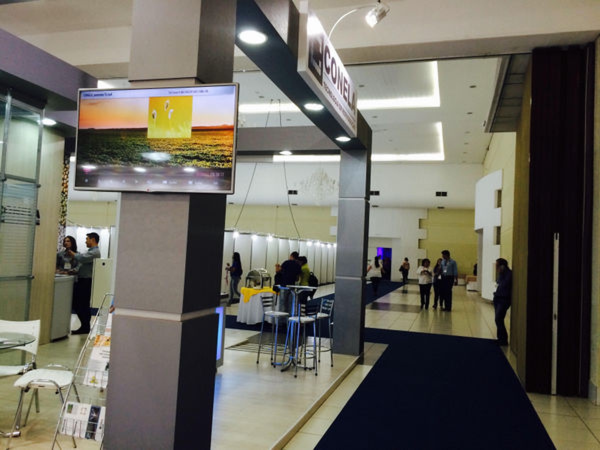 Imagem da galeria