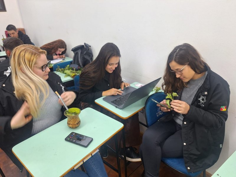 Imagem da galeria