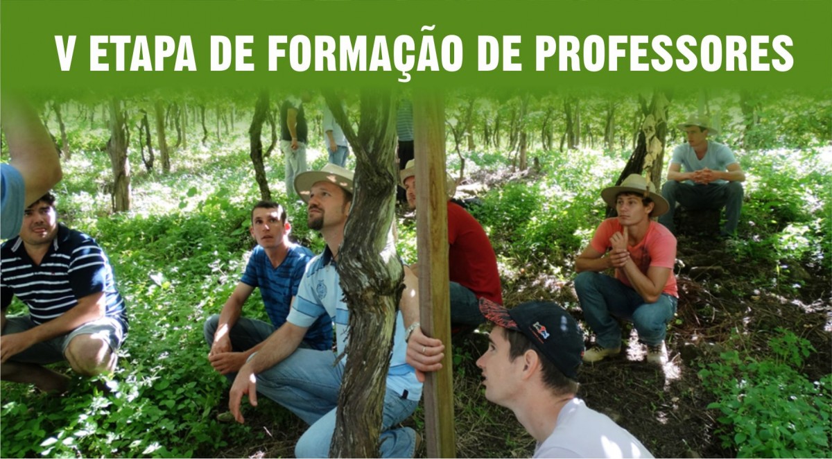 Imagem Notícia