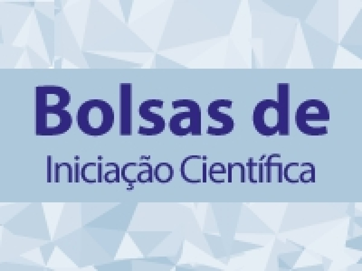 Imagem Notícia