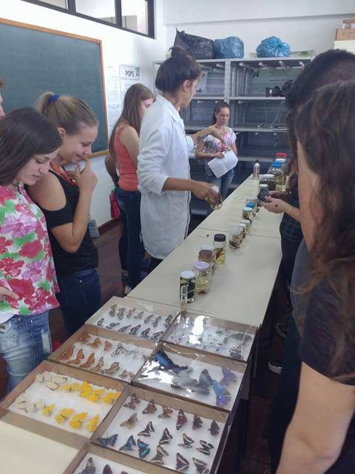 Imagem Notícia