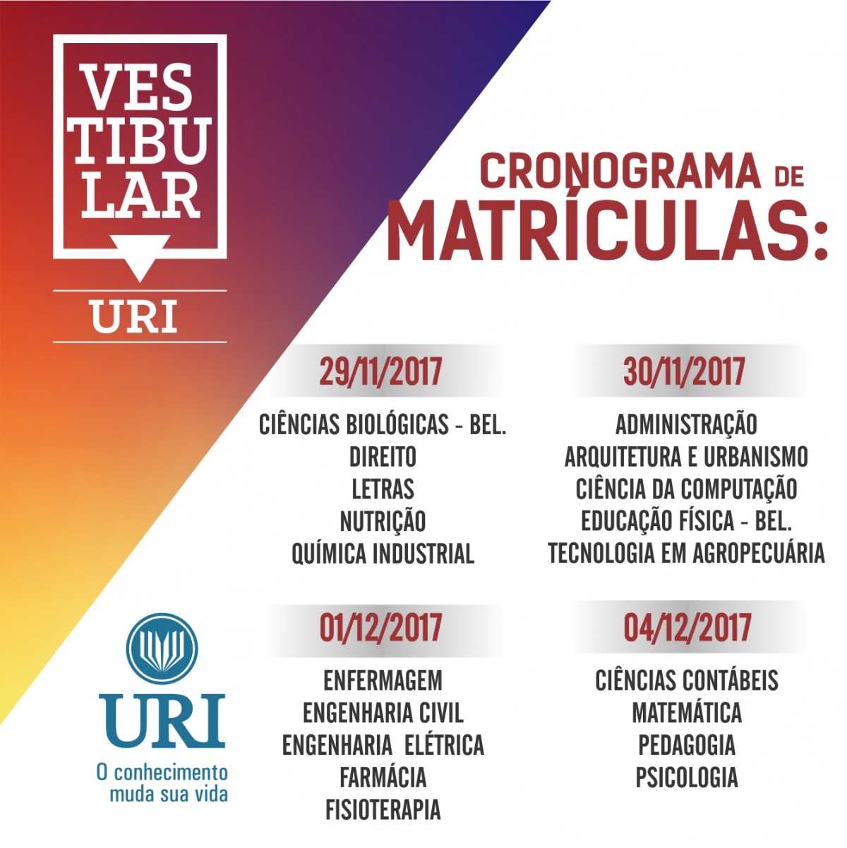 Imagem Notícia