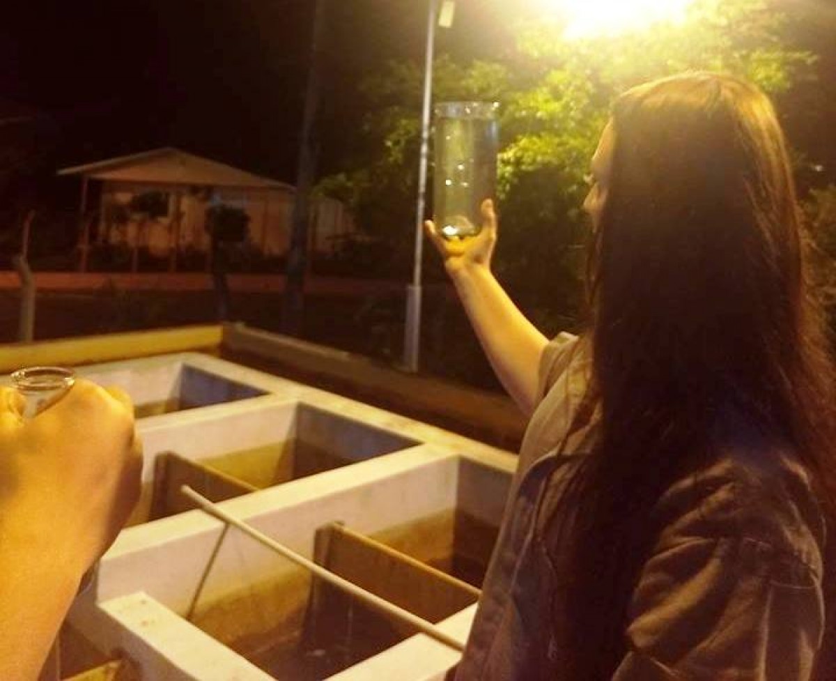 Imagem Notícia
