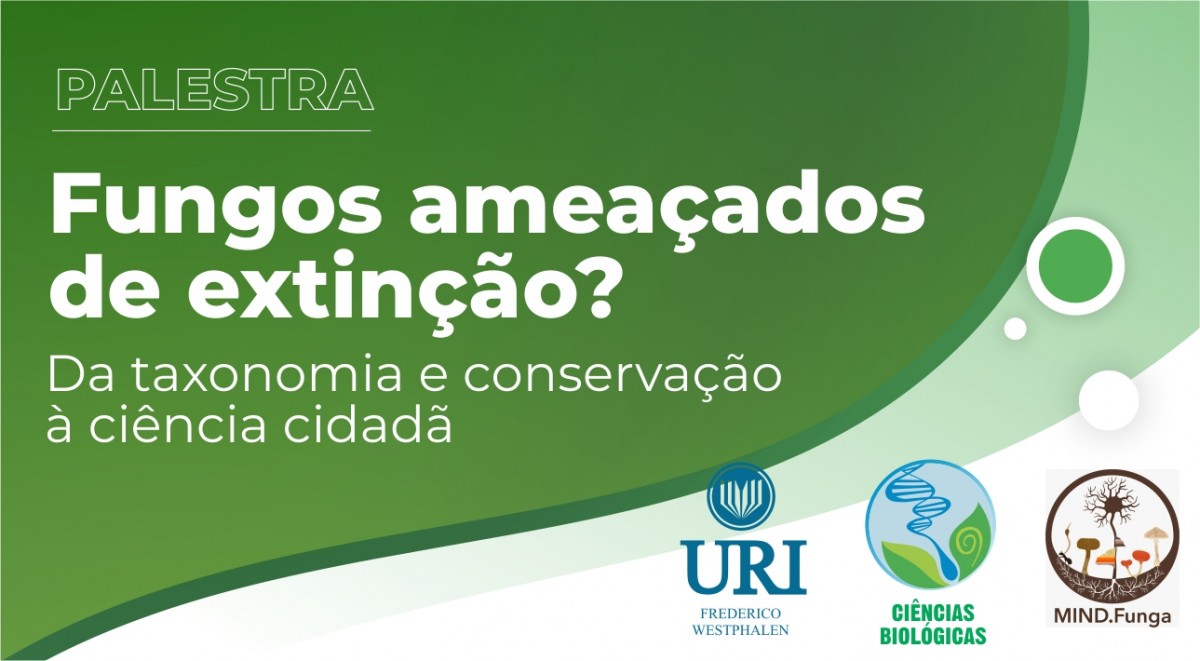 Imagem Notícia