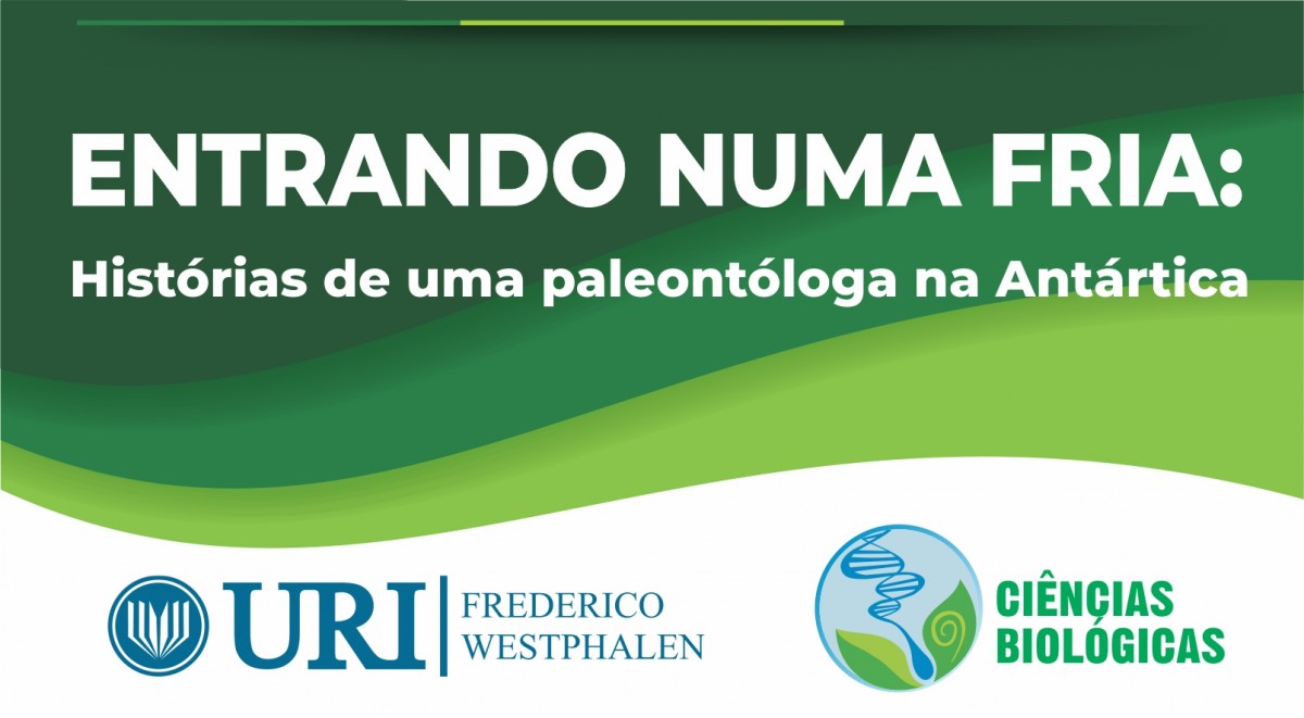 Imagem Notícia