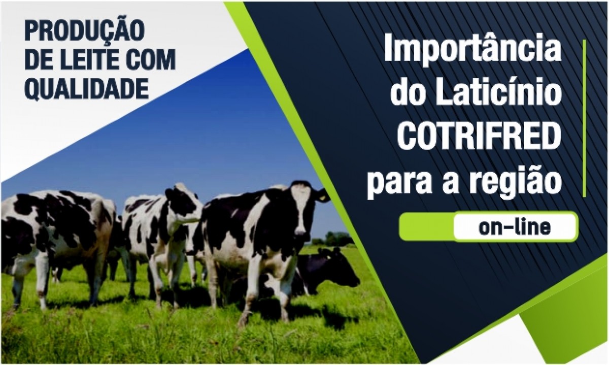 Imagem Notícia