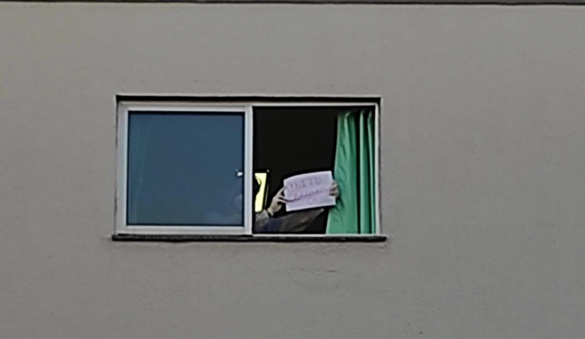Imagem Notícia